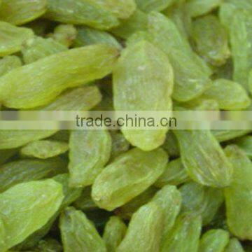 BEST QUALITY GREEN RAISIN FOR BEST RATE