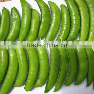 new season IQF sugar snap pea