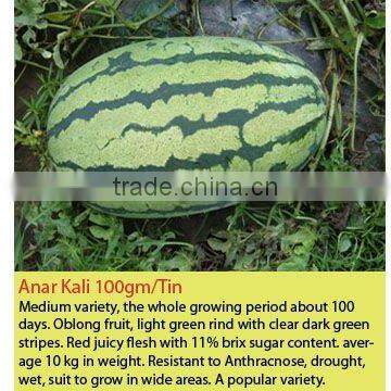 ANARKALI Hybrid Watermelon Seeds