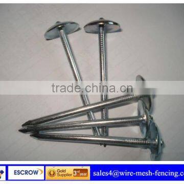 Electro plated Roofing Nail