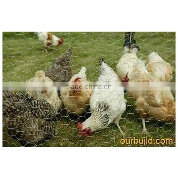 PVC coated,galvanized,chicken netting