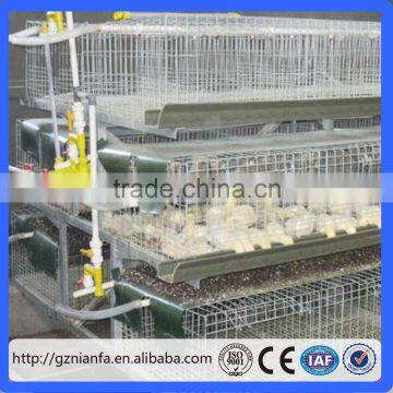 Chicken Rearing Use Poultry farm automatic chicken layer cage system(Guangzhou Factory)