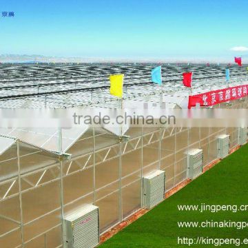 Greenhouse of polycarbonate sheet