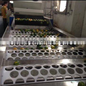 Fruitage Pick Up Equipment/grading Washing and Waxing Machine photo-5