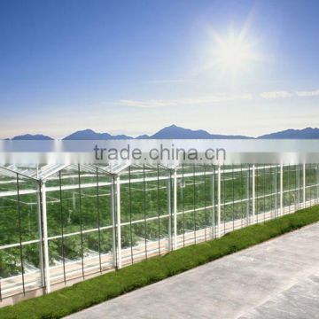 Plant breeding sunlight greenhouse for sale