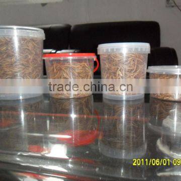 Microwave dried mealworm, tropical fish food mealworm