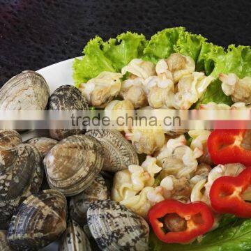 Tasty and Delicious Best Frozen Baby Clam Meat