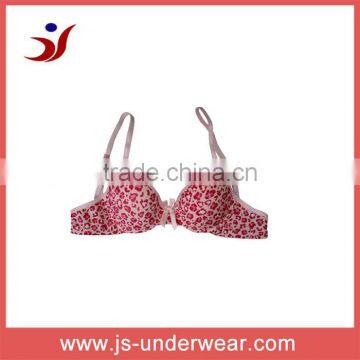 New Arrival Sexy Girls Underwire Bra New Design