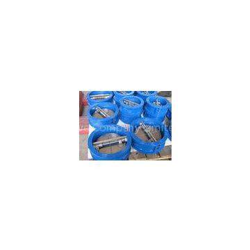API 609 / ISO 5752 / BS5155 Standard, GGG40 / GGG50 Body Cast Iron Wafer Check Valve