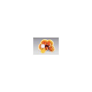 Reishi Spore Oil Softgel