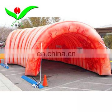 Giant colon organ science advertising inflatable tunnel