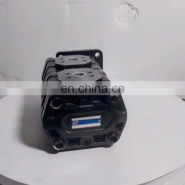 America Parker hydraulic piston pump P25 Series P25X305KIAB10-53AB10-1 double gear pump