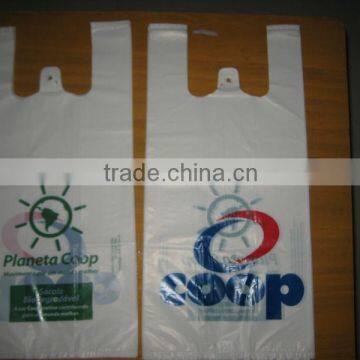 Cheap Customized Shopping Plastic Bag(2012) photo-2