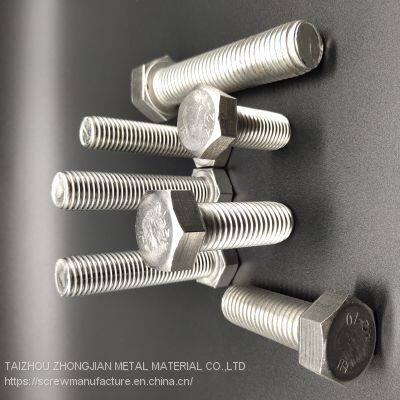 Stainless Steel Hex Bolt M6*30