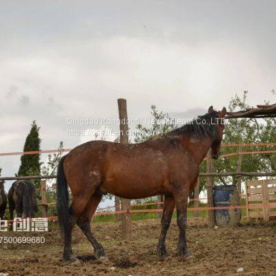 (electric fence) electric polytape width 20mm for horses on Australia