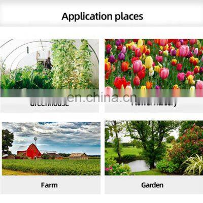 High Effective Fly Catcher Big Size Fly Paper Glue Trap Customize Design Sticky Fruit Fly Board