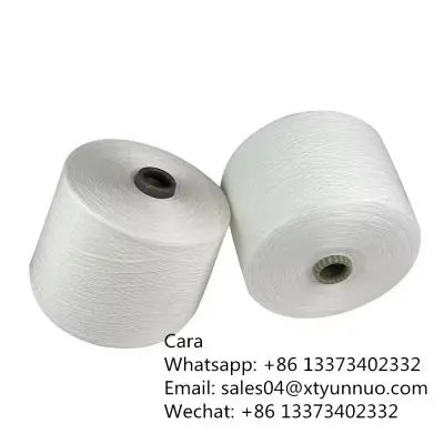 100% sd 70/2 Nylon 6 for Sewing Thread do Any Colors photo-4