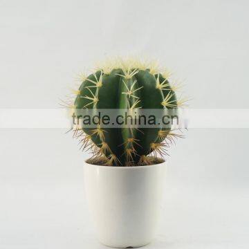 New design factory direct price mini tropical plants artificial cactus and succulents