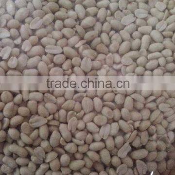 Shandong Peanut