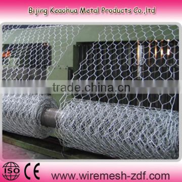 hexagonal chiken netting(factory)