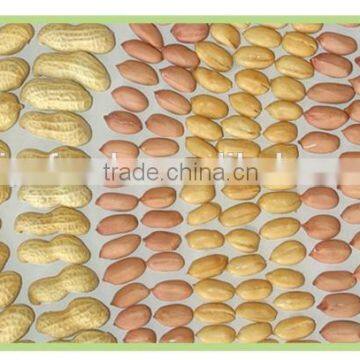 Groundnut Peanuts Kernels 2014 new crop in China