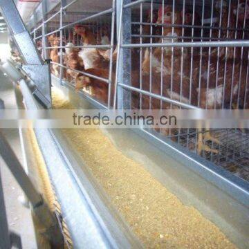 chicken farm building broiler poultry farm house design chicken breeding cage for kenya farms house