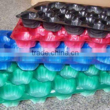 Colorful pp fruit insert tray for food and fruit