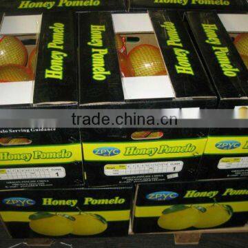 New Crop China Fresh Honey Pomelo Price