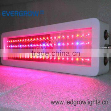 100WDiscount Led Plant Grow Light Wavelength Led Grow Lights For Plangting 100