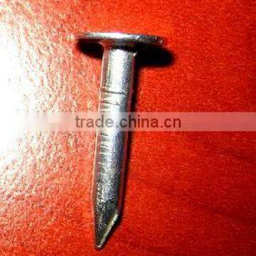 chile market cupper nails