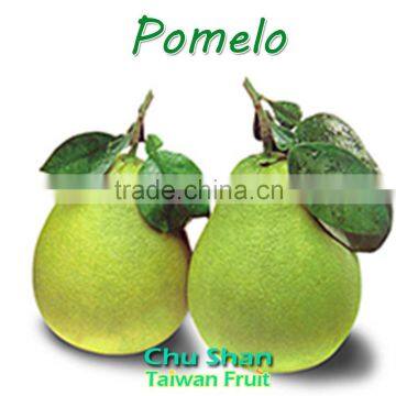 Grade A Fresh Pomelo photo-5