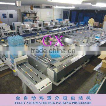 Full-Auto Egg Packing Processor