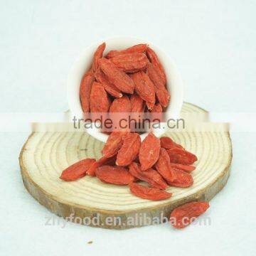 Low Pesticide Ningxia Goji Berry