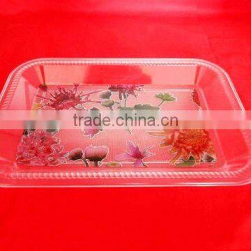 Rectangle plastic Fruit Dishes