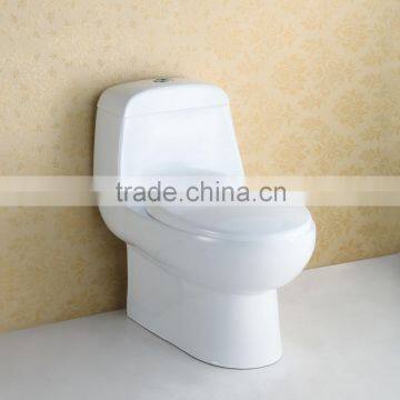 Modern Design S Trap Ceramic Water Closet