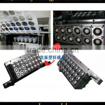 Multi-cavity plastic thin wall cup mould