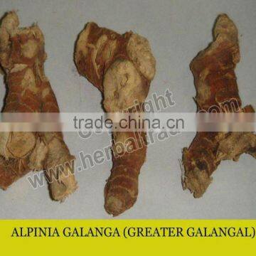 Galangal powder