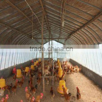 light span steel structure for poultry house farm steel structure farm warehouse