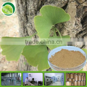 High quality extract of ginkgo biloba leaf