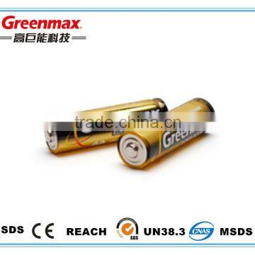 AA Alkaline Battery--LR6