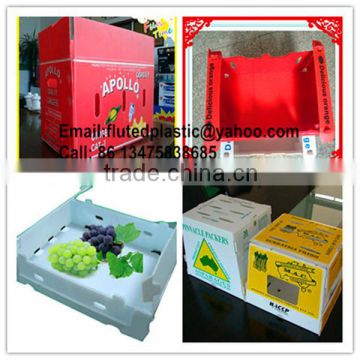 PP corrugated plastic carton box for fruits and vegetables