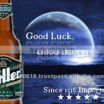 MOLLER Lager Beer 5.0% in glass bottle 24X33CL