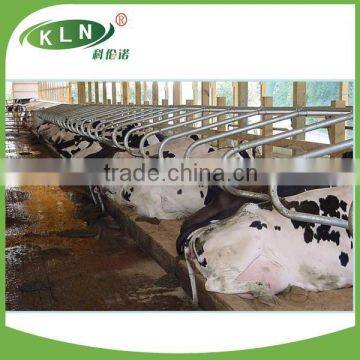 KLN cattle free stall / bed