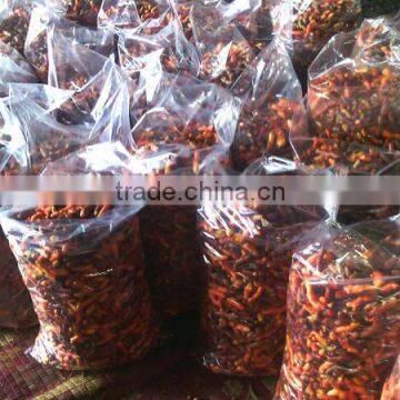 Dried Thai Herbal Medicine Plai Herbal Product (Essential Oil)