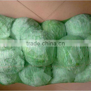 Cabbage Type and Cruciferous Vegetabless Product Type Fresh Cabbage photo-3