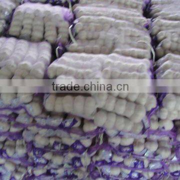 china garlic price