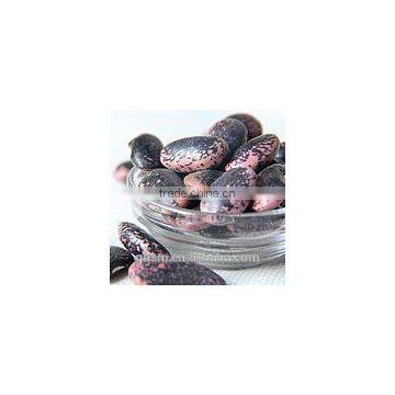 best selling black beans, beans legumes, kidney beans