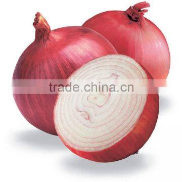 RED ONION FROM EGYPT