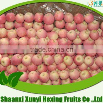 sell Fresh Apple fruit of high quality and good price