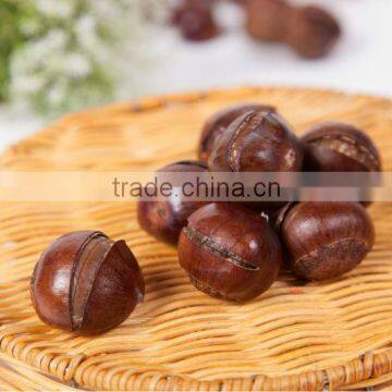 Best Quality Roasted Chestnuts With Shell, Chinese Chestnuts photo-2
